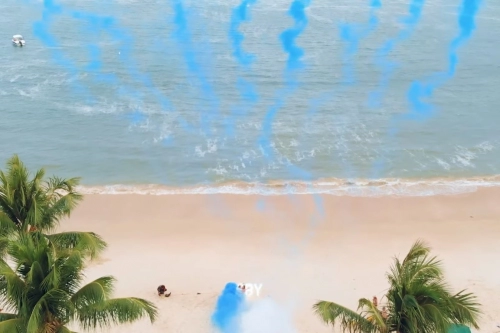 Fabricio & Joane - Chá revelação